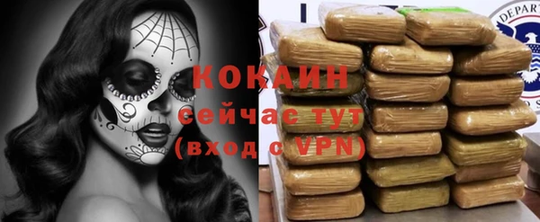 ГАЛЛЮЦИНОГЕННЫЕ ГРИБЫ Абаза