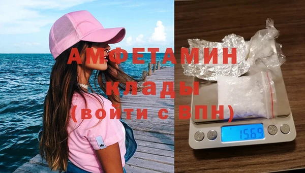 прущие грибы Алексеевка