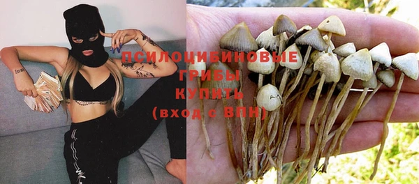 прущие грибы Алексеевка