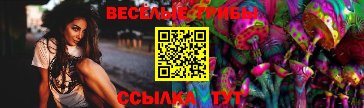 Псилоцибиновые грибы прущие грибы Троицк
